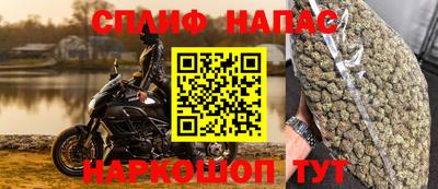 прущие грибы Ипатово