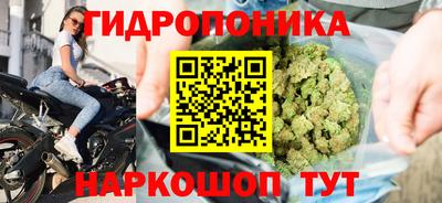 прущие крисы Ирбит