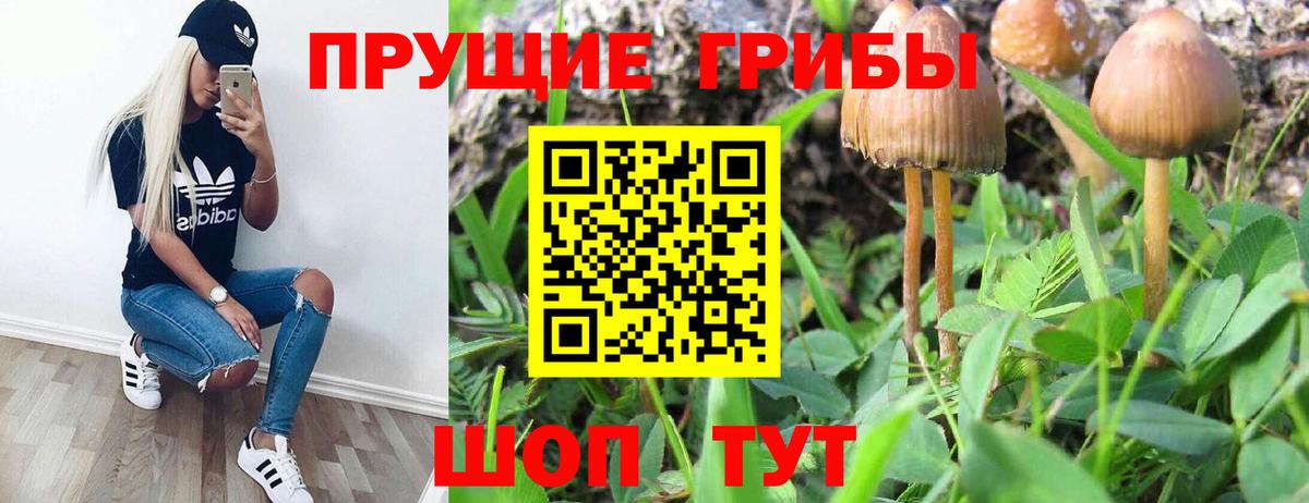 Псилоцибиновые грибы мицелий  Вход с VPN  Кушва  Галлюциногенные грибы MAGIC MUSHROOMS 