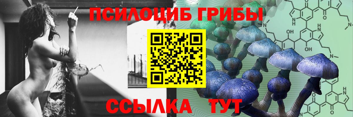 Псилоцибиновые грибы мицелий Кушва